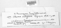 Image Associated With the Occurence